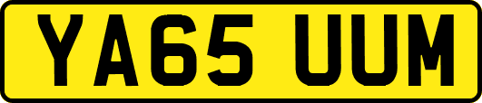 YA65UUM
