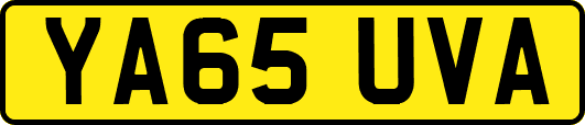 YA65UVA