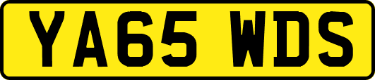 YA65WDS