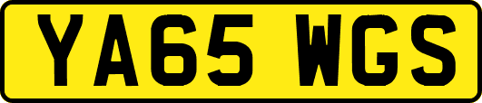 YA65WGS