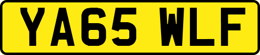 YA65WLF