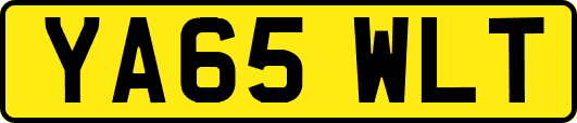 YA65WLT