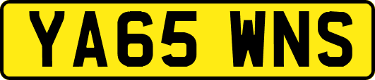 YA65WNS