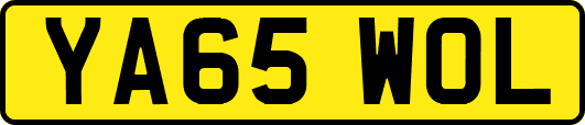 YA65WOL
