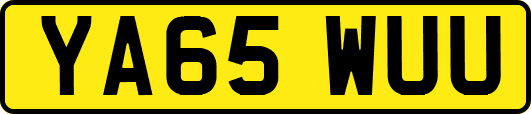 YA65WUU