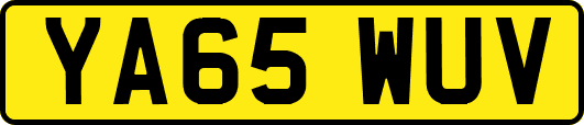 YA65WUV