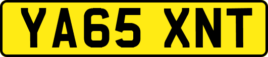 YA65XNT