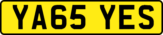 YA65YES
