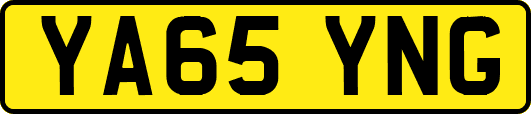 YA65YNG