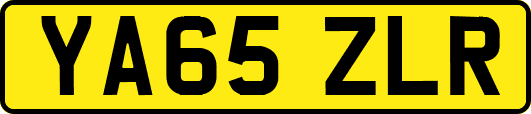 YA65ZLR