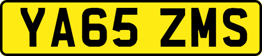 YA65ZMS