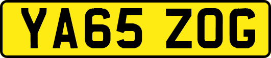 YA65ZOG