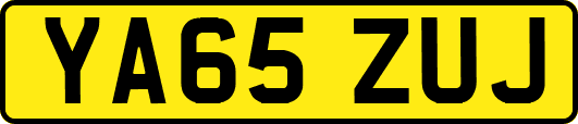 YA65ZUJ