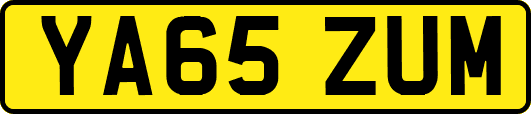 YA65ZUM