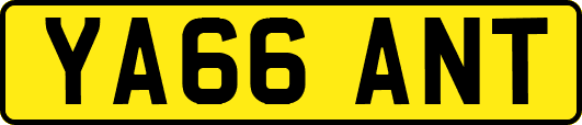YA66ANT