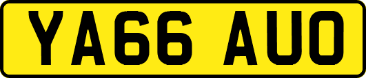 YA66AUO