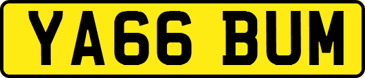 YA66BUM
