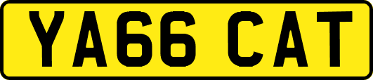 YA66CAT