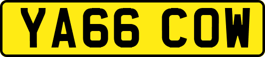 YA66COW