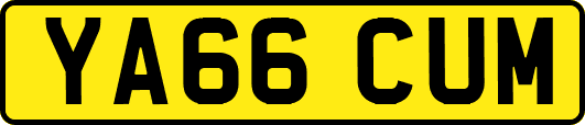 YA66CUM