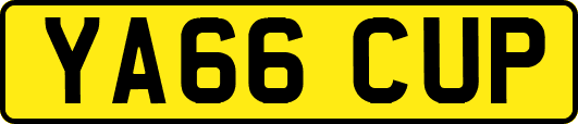 YA66CUP
