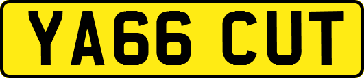YA66CUT