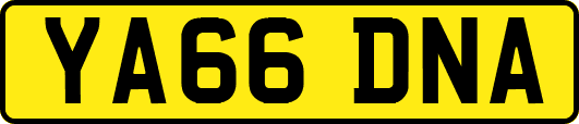 YA66DNA