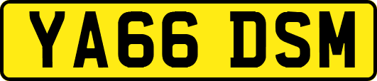 YA66DSM