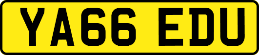 YA66EDU