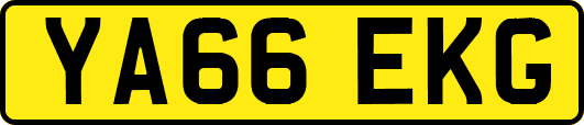 YA66EKG