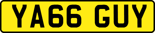 YA66GUY