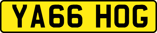 YA66HOG