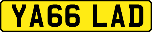 YA66LAD