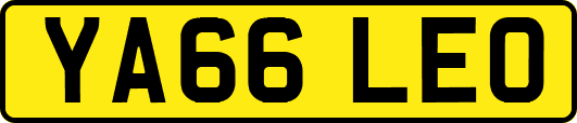 YA66LEO