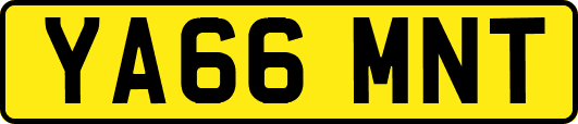 YA66MNT