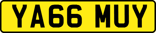 YA66MUY