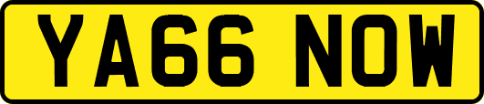 YA66NOW