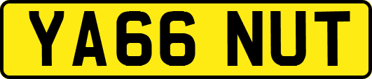 YA66NUT