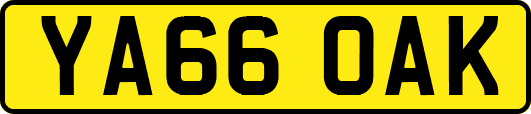 YA66OAK
