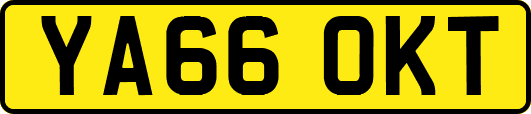YA66OKT