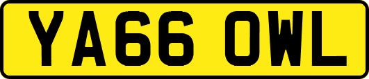 YA66OWL