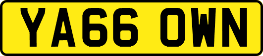 YA66OWN