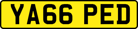 YA66PED
