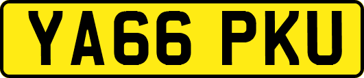 YA66PKU