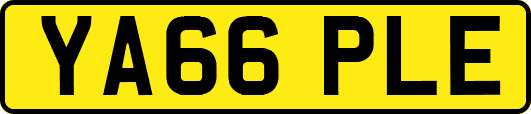YA66PLE