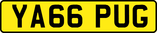 YA66PUG