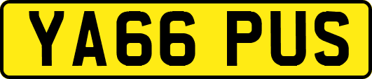 YA66PUS