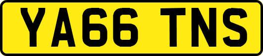 YA66TNS