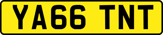 YA66TNT