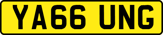YA66UNG